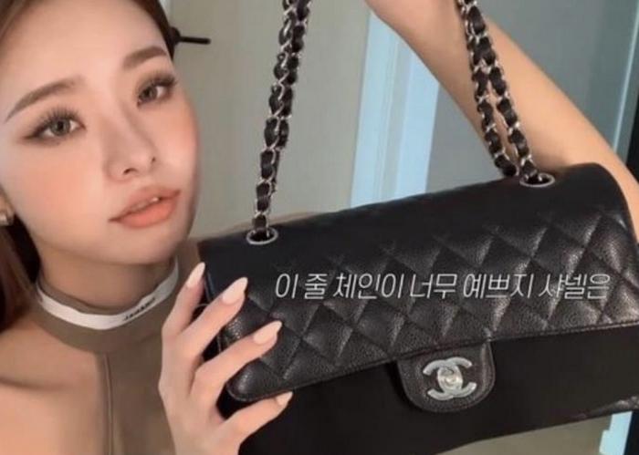 Influencers With Fake Bags